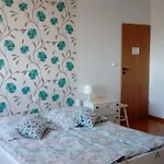 Agrogospodarstwo Halina Luc Casa de Campo Slajszewo