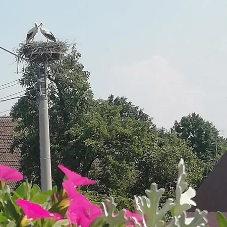 Agrogospodarstwo Halina Luc Slajszewo