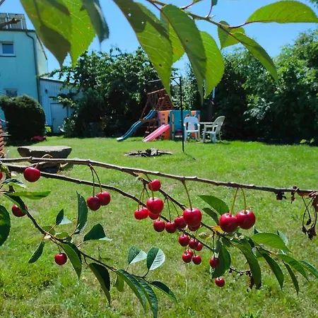 カントリーハウス Agrogospodarstwo Halina Luc