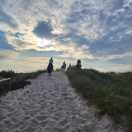 Agrogospodarstwo Halina Luc * Slajszewo