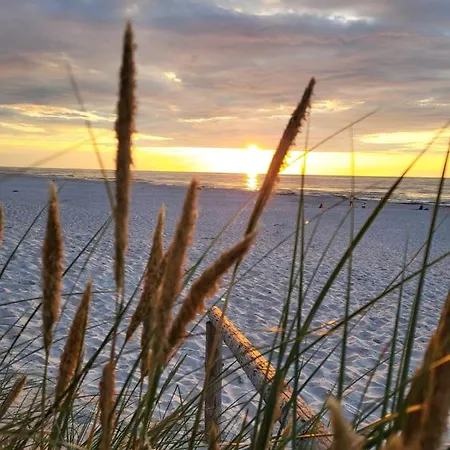 Agrogospodarstwo Halina Luc * Slajszewo