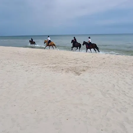 Landhaus Agrogospodarstwo Halina Luc