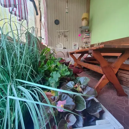Casa de Campo Agrogospodarstwo Halina Luc *