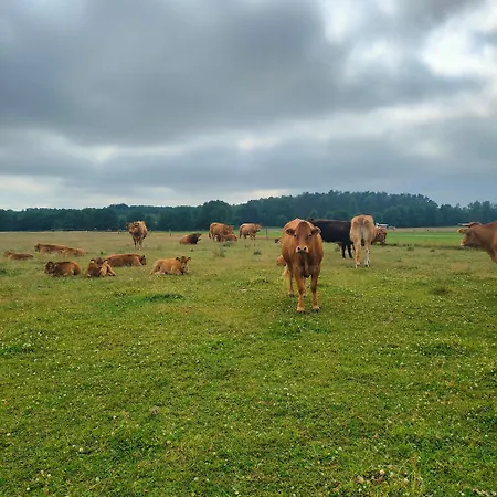 Casa de Campo Agrogospodarstwo Halina Luc *