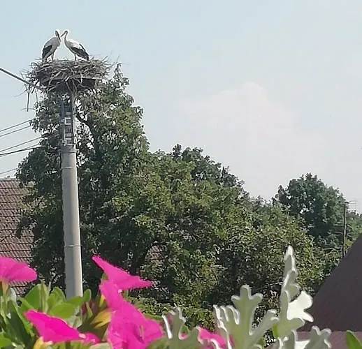 Agrogospodarstwo Halina Luc Slajszewo