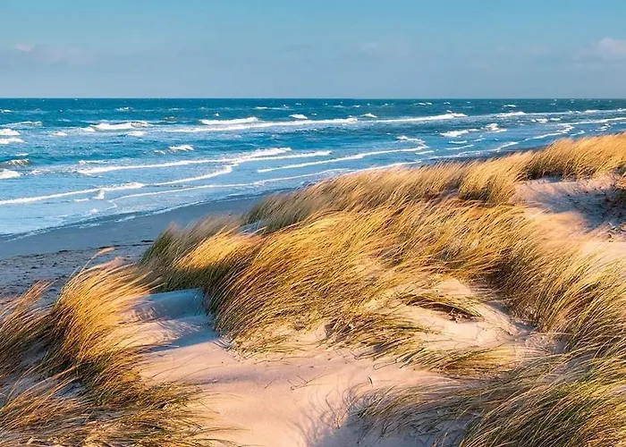 Agrogospodarstwo Halina Luc *