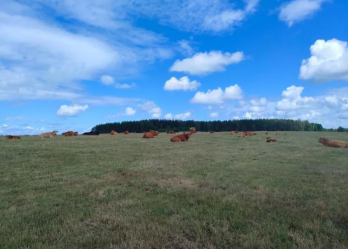 Agrogospodarstwo Halina Luc منزل ريفي *