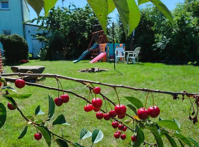 منزل ريفي Agrogospodarstwo Halina Luc