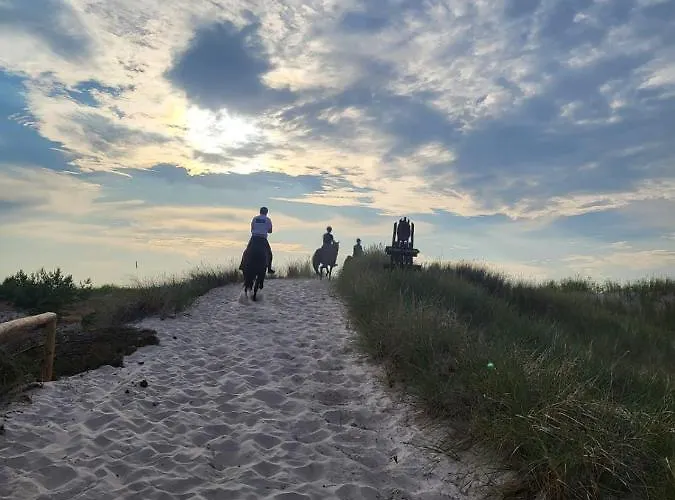 Agrogospodarstwo Halina Luc * Slajszewo