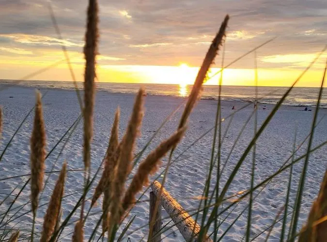 Agrogospodarstwo Halina Luc * Slajszewo