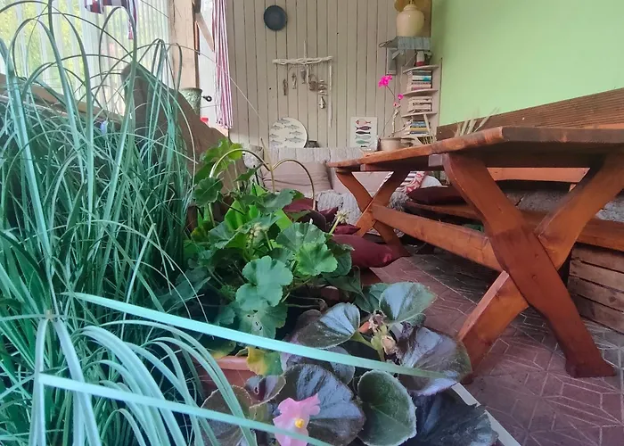 منزل ريفي Agrogospodarstwo Halina Luc *