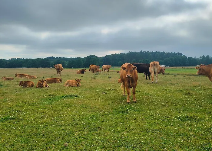 منزل ريفي Agrogospodarstwo Halina Luc *